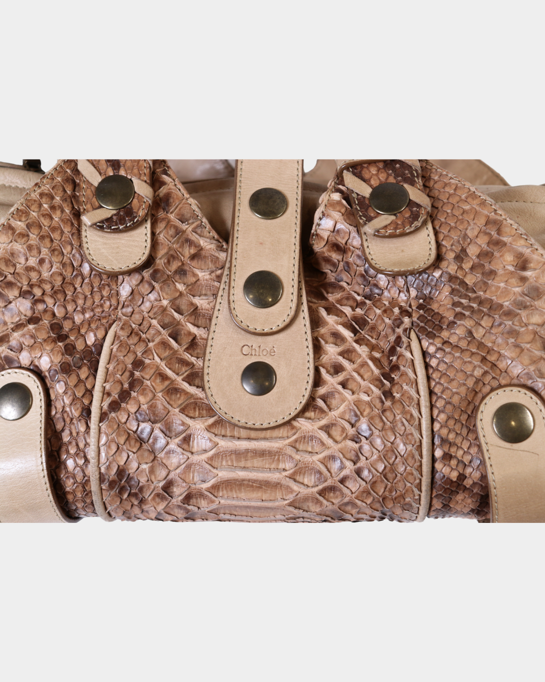 Chloe Beige Python Silverado