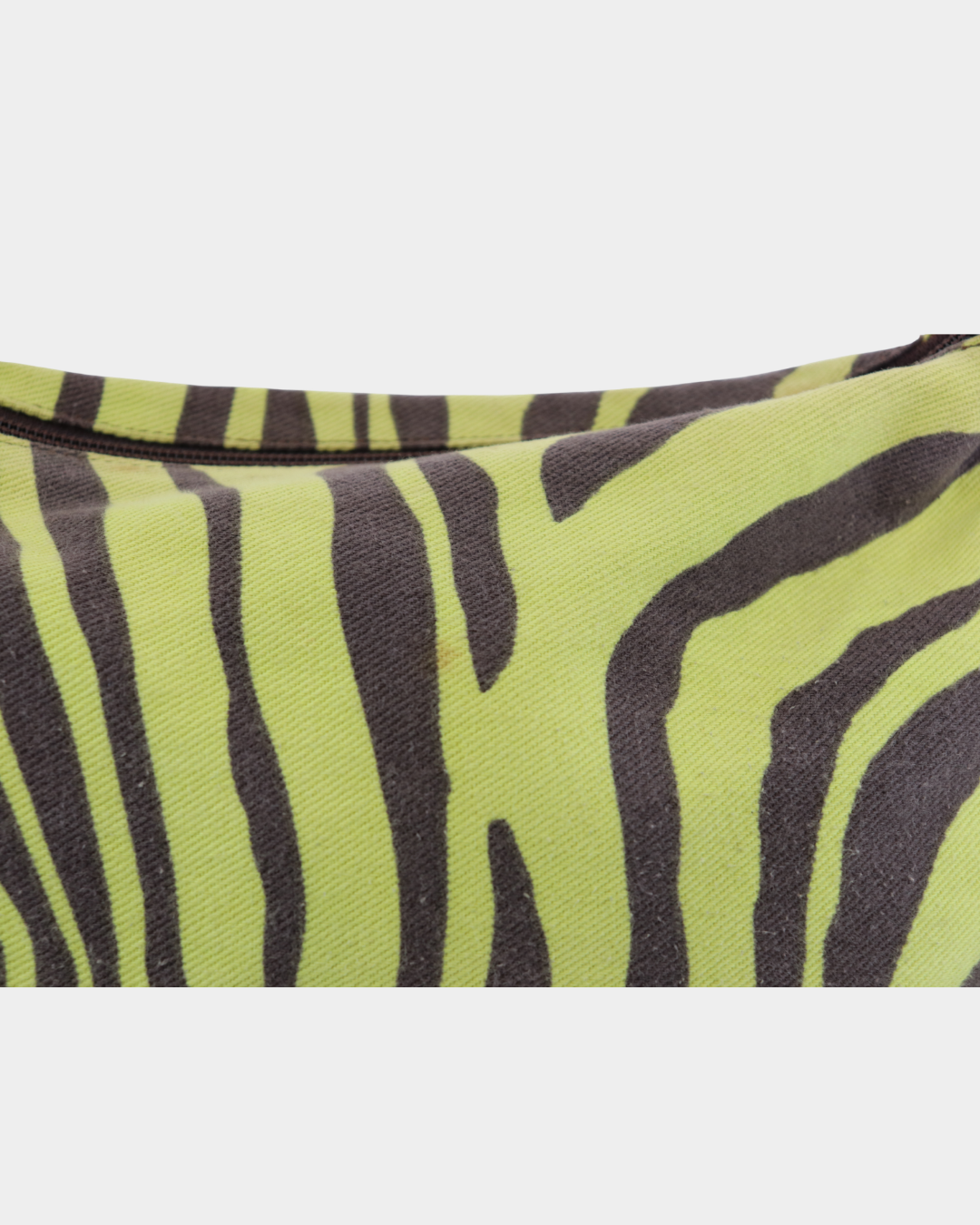 zebra dolce & gabbana