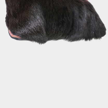 Prada Sport F/W1999 Fur Tote Bag