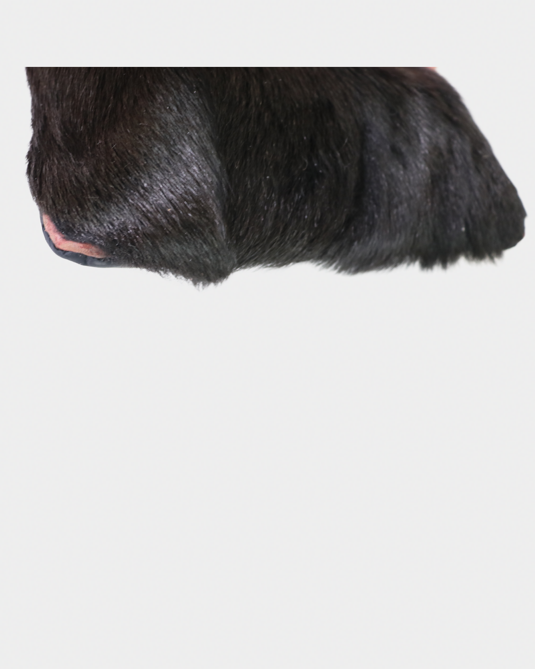 Prada Sport F/W1999 Fur Tote Bag