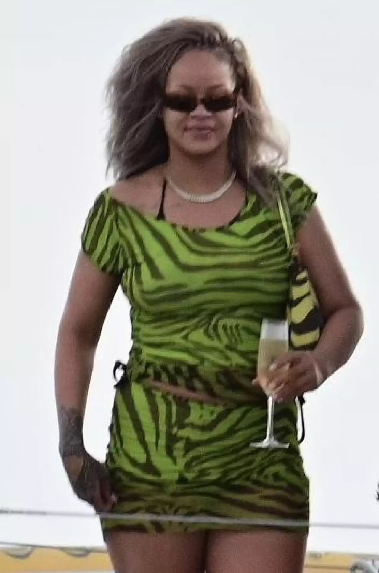 zebra dolce & gabbana